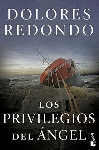 Portada de "Los privilegios del ángel"